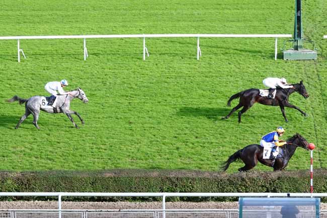 Photo d'arrivée de la course pmu PRIX PHARSALE à SAINT-CLOUD le Vendredi 22 novembre 2019