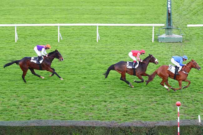 Photo d'arrivée de la course pmu PRIX JACQUES DE VIENNE à SAINT-CLOUD le Vendredi 22 novembre 2019