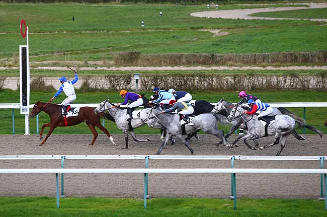 Photo d'arrivée de la course pmu PRIX DU PLATEAU DE MADRIE à DEAUVILLE le Mardi 26 novembre 2019