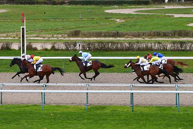 Photo d'arrivée de la course pmu PRIX HABITAT à DEAUVILLE le Mardi 26 novembre 2019