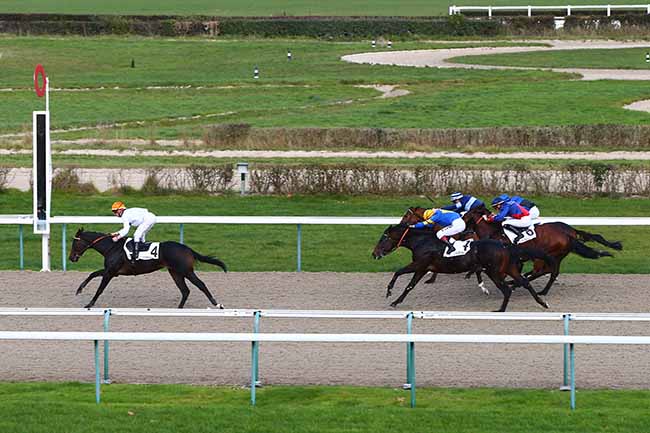 Photo d'arrivée de la course pmu PRIX DE TORQUESNE à DEAUVILLE le Mardi 26 novembre 2019