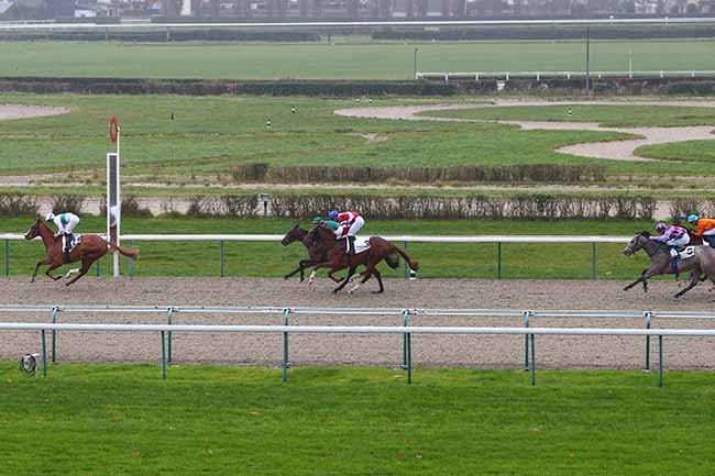 Photo d'arrivée de la course pmu PRIX DE MONTFORT à DEAUVILLE le Mardi 26 novembre 2019