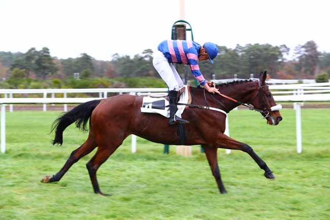 Photo d'arrivée de la course pmu PRIX COLONEL BERNARD MARLIN à FONTAINEBLEAU le Mardi 26 novembre 2019