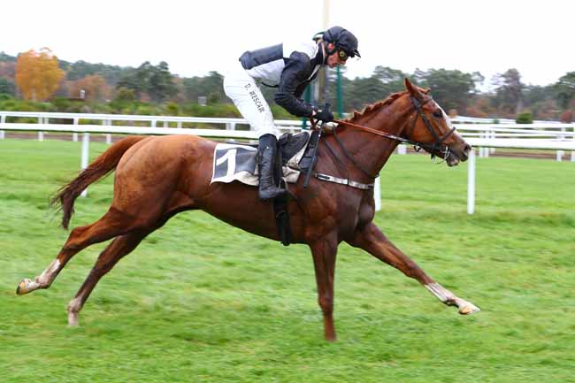 Photo d'arrivée de la course pmu PRIX DES GORGES D'APREMONT à FONTAINEBLEAU le Mardi 26 novembre 2019