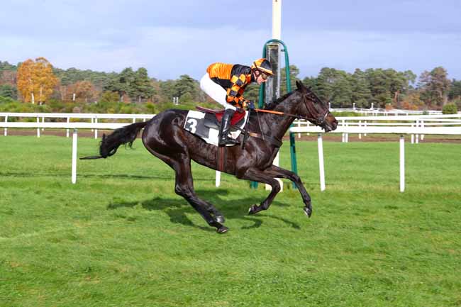 Photo d'arrivée de la course pmu PRIX TREMAILLE à FONTAINEBLEAU le Mardi 26 novembre 2019