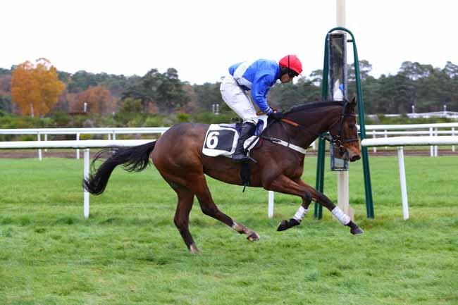 Photo d'arrivée de la course pmu GRANDE COURSE DE HAIES DE FONTAINEBLEAU à FONTAINEBLEAU le Mardi 26 novembre 2019