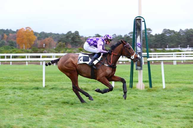 Photo d'arrivée de la course pmu PRIX DE LA FONTAINE AUX BICHES à FONTAINEBLEAU le Mardi 26 novembre 2019