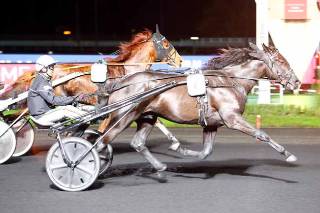 Photo d'arrivée de la course pmu PRIX OTTILIA à PARIS-VINCENNES le Mardi 26 novembre 2019