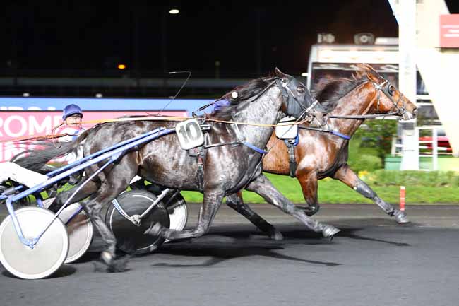 Photo d'arrivée de la course pmu PRIX URSA à PARIS-VINCENNES le Mardi 26 novembre 2019