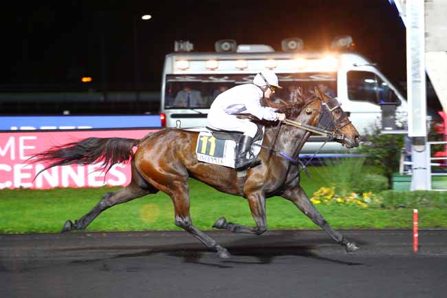 Photo d'arrivée de la course pmu PRIX ALBERT LIBEER à PARIS-VINCENNES le Mardi 26 novembre 2019