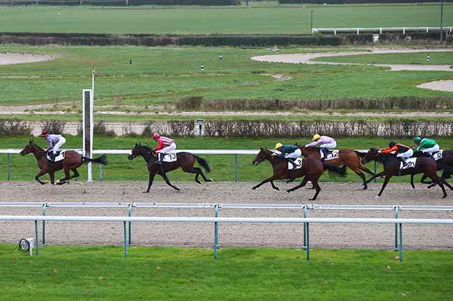 Photo d'arrivée de la course pmu PRIX DE LA ROQUE à DEAUVILLE le Mercredi 27 novembre 2019