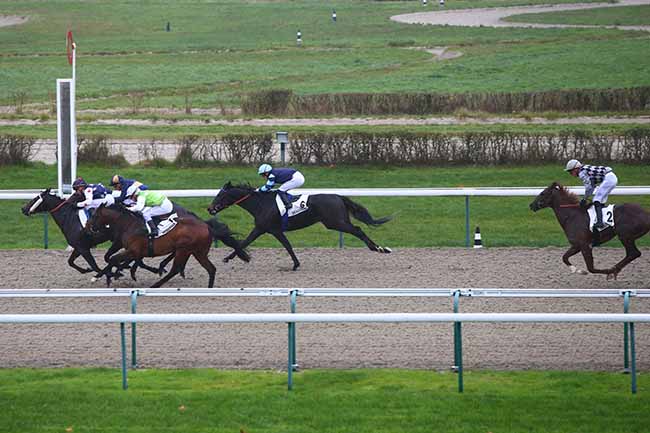 Photo d'arrivée de la course pmu PRIX GREY DAWN à DEAUVILLE le Mercredi 27 novembre 2019