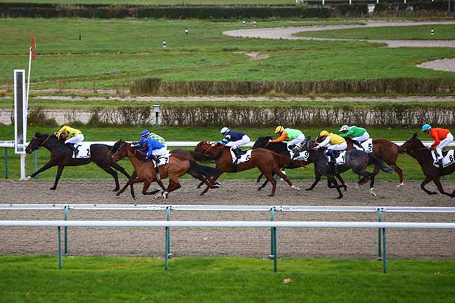 Photo d'arrivée de la course pmu PRIX DE FERGAND à DEAUVILLE le Mercredi 27 novembre 2019