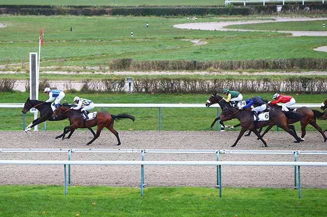 Photo d'arrivée de la course pmu PRIX D'ENGERVILLE à DEAUVILLE le Mercredi 27 novembre 2019