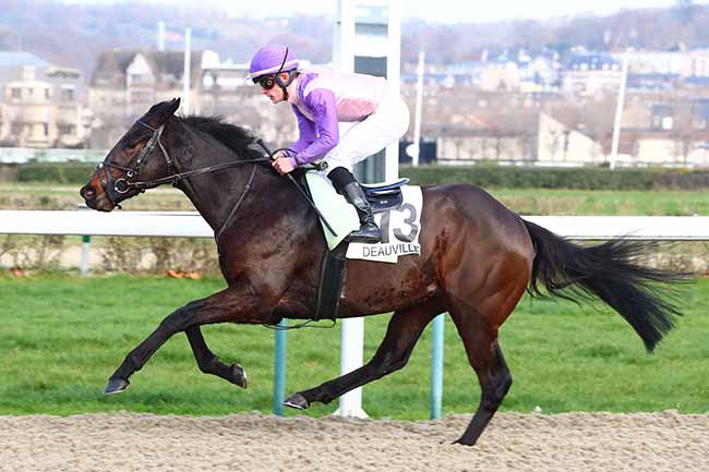 Photo d'arrivée de la course pmu PRIX DE COMMEAUX à DEAUVILLE le Dimanche 1 décembre 2019
