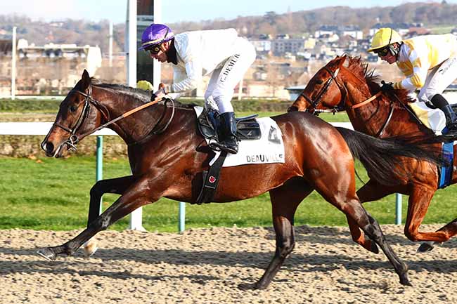Photo d'arrivée de la course pmu PRIX DU VEXIN NORMAND à DEAUVILLE le Lundi 2 décembre 2019