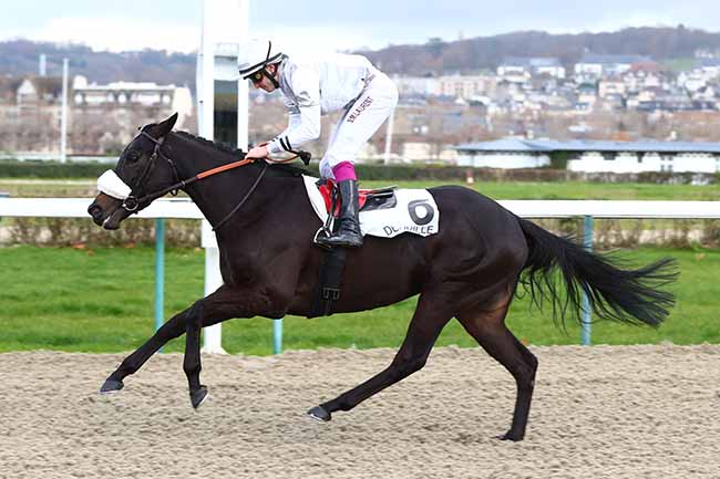 Photo d'arrivée de la course pmu PRIX DE BONNERIE à DEAUVILLE le Lundi 2 décembre 2019