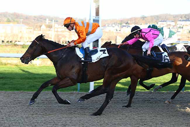 Photo d'arrivée de la course pmu PRIX DES CHAUMINES à DEAUVILLE le Lundi 2 décembre 2019