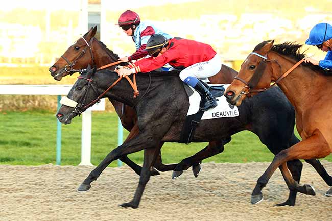 Photo d'arrivée de la course pmu PRIX DE LA CHAPELLE SAINT-LAURENT à DEAUVILLE le Lundi 2 décembre 2019