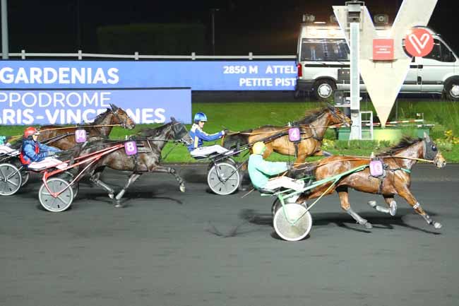 Photo d'arrivée de la course pmu PRIX DES GARDENIAS à PARIS-VINCENNES le Mardi 3 décembre 2019