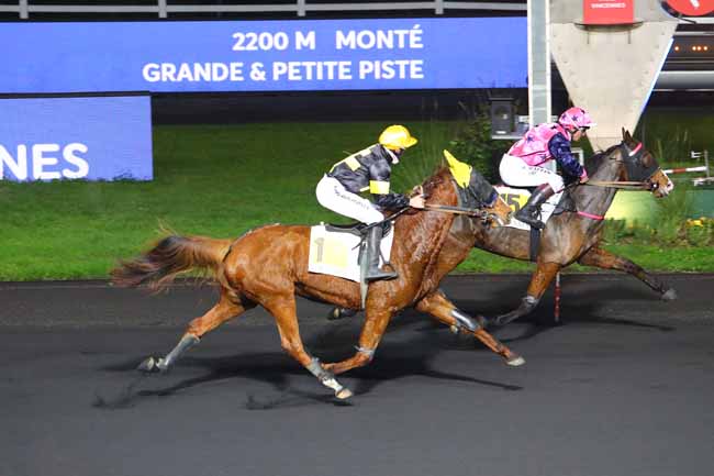 Photo d'arrivée de la course pmu PRIX DE MERAL à PARIS-VINCENNES le Mardi 3 décembre 2019