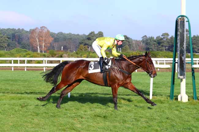 Photo d'arrivée de la course pmu PRIX DES GRANDS FEUILLARDS à FONTAINEBLEAU le Mercredi 4 décembre 2019