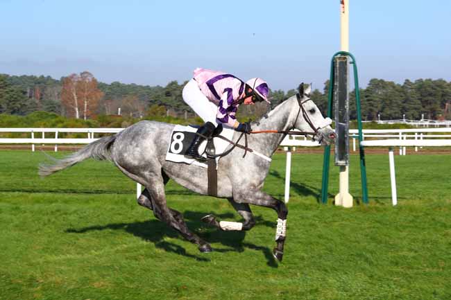 Photo d'arrivée de la course pmu PRIX DE LA VILLE D'AVON à FONTAINEBLEAU le Mercredi 4 décembre 2019