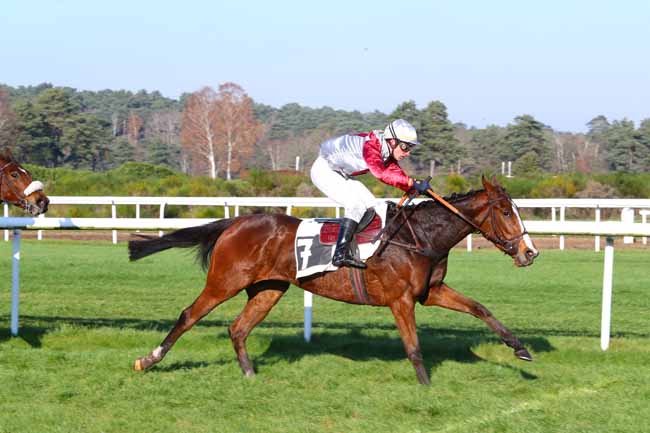 Photo d'arrivée de la course pmu PRIX HENRY MAZE-SENCIER à FONTAINEBLEAU le Mercredi 4 décembre 2019