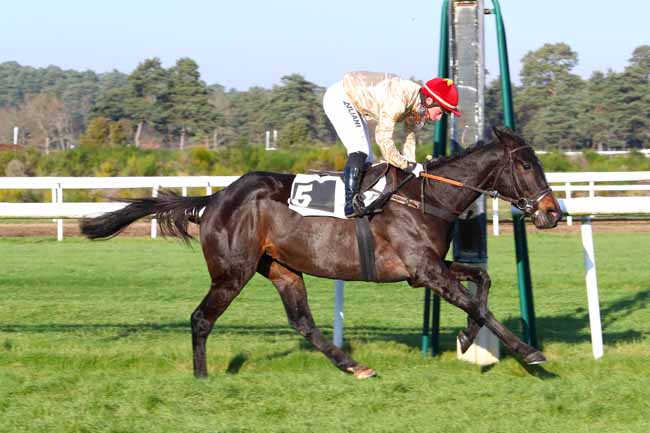 Photo d'arrivée de la course pmu PRIX RICHARD D'AYGUEVIVES à FONTAINEBLEAU le Mercredi 4 décembre 2019
