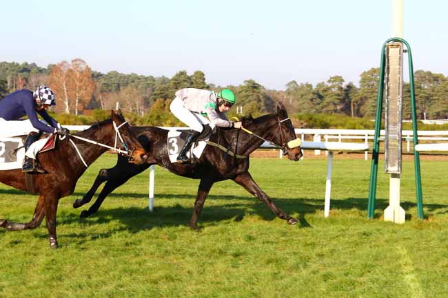 Photo d'arrivée de la course pmu PRIX BARON GEOFFROY DE WALDNER à FONTAINEBLEAU le Mercredi 4 décembre 2019