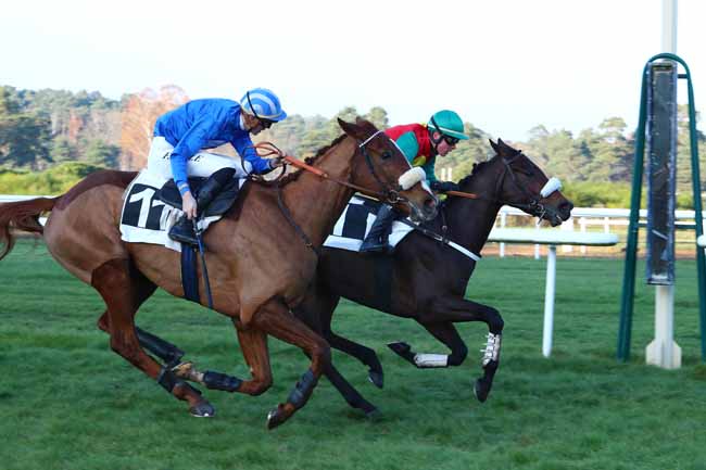 Photo d'arrivée de la course pmu PRIX HOTEL DE L'AIGLE NOIR à FONTAINEBLEAU le Mercredi 4 décembre 2019
