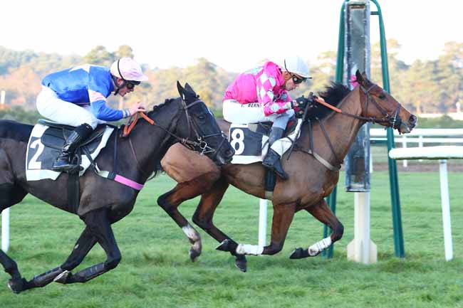 Photo d'arrivée de la course pmu PRIX BARON MAURICE DE NEXON à FONTAINEBLEAU le Mercredi 4 décembre 2019