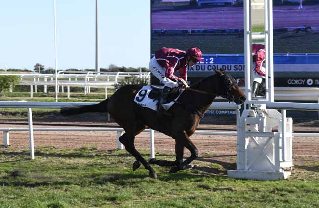 Photo d'arrivée de la course pmu PRIX DU COL DU SOMPORT à CAGNES-SUR-MER le Lundi 9 décembre 2019