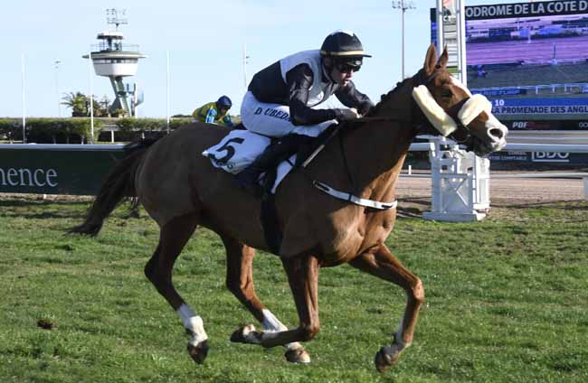 Photo d'arrivée de la course pmu PRIX DE LA PROMENADE DES ANGLAIS à CAGNES-SUR-MER le Lundi 9 décembre 2019