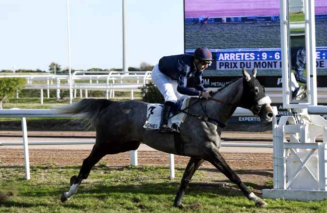 Photo d'arrivée de la course pmu PRIX DU MONT FALOURDE à CAGNES-SUR-MER le Lundi 9 décembre 2019