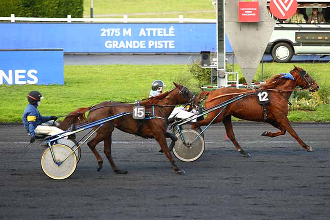 Photo d'arrivée de la course pmu PRIX DE DORDIVES à PARIS-VINCENNES le Lundi 9 décembre 2019