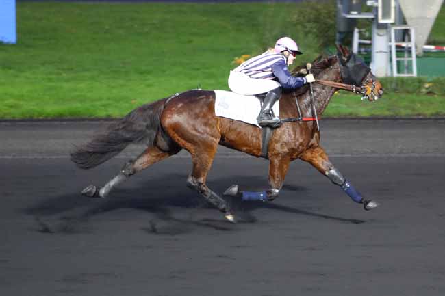 Photo d'arrivée de la course pmu PRIX DE NIMES à PARIS-VINCENNES le Mercredi 11 décembre 2019