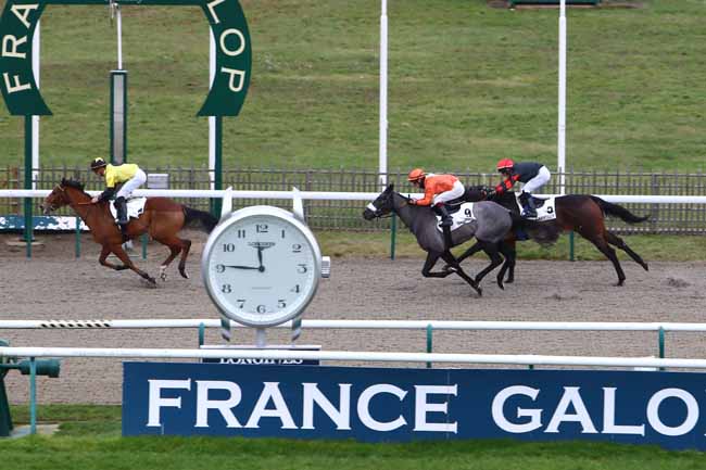 Photo d'arrivée de la course pmu PRIX DU TEMPLE DE VENUS à CHANTILLY le Jeudi 12 décembre 2019