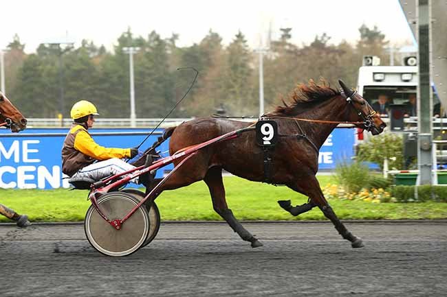 Photo d'arrivée de la course pmu PRIX DES CAMELIAS à PARIS-VINCENNES le Jeudi 12 décembre 2019