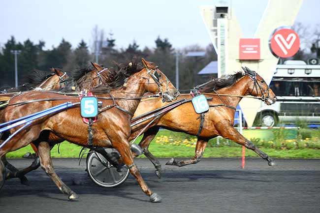 Photo d'arrivée de la course pmu PRIX DE FERRIERES à PARIS-VINCENNES le Jeudi 12 décembre 2019