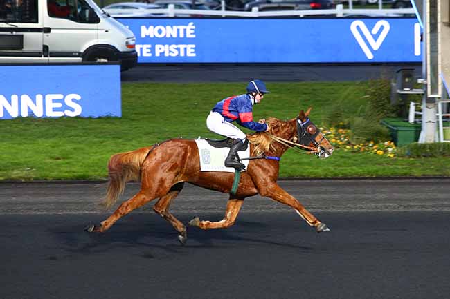 Photo d'arrivée de la course pmu PRIX DE THOUARS à PARIS-VINCENNES le Vendredi 13 décembre 2019
