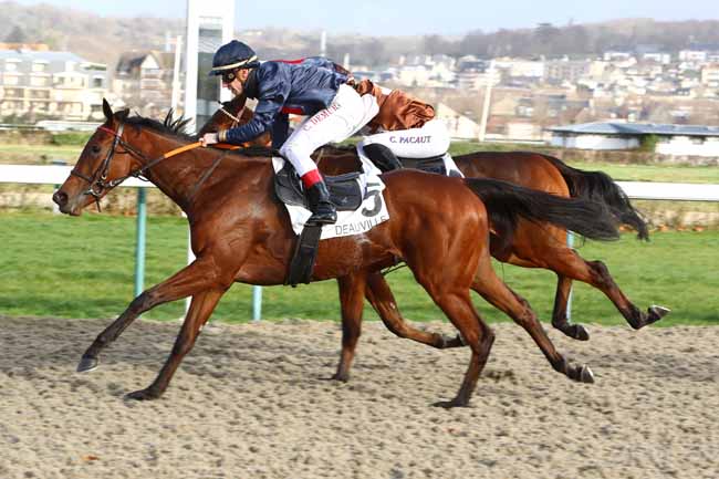 Photo d'arrivée de la course pmu PRIX DE LA PIERRE AUX FEES à DEAUVILLE le Vendredi 13 décembre 2019