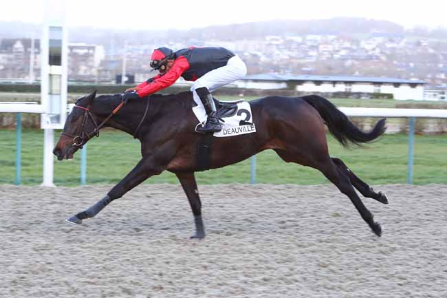 Photo d'arrivée de la course pmu PRIX DE LA PLAGE à DEAUVILLE le Vendredi 13 décembre 2019
