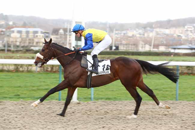 Photo d'arrivée de la course pmu PRIX DU MANOIR DES EVEQUES à DEAUVILLE le Vendredi 13 décembre 2019