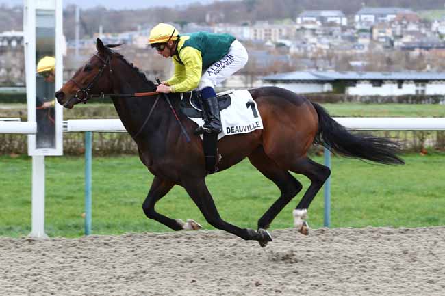 Photo d'arrivée de la course pmu PRIX DU GRAND CHESNAY à DEAUVILLE le Samedi 14 décembre 2019