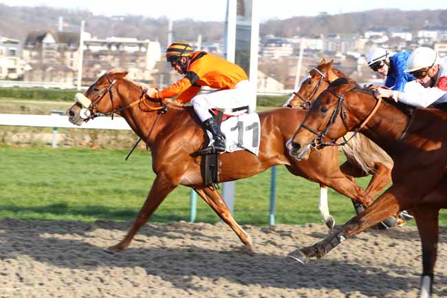 Photo d'arrivée de la course pmu PRIX DE ROIVILLE à DEAUVILLE le Samedi 14 décembre 2019