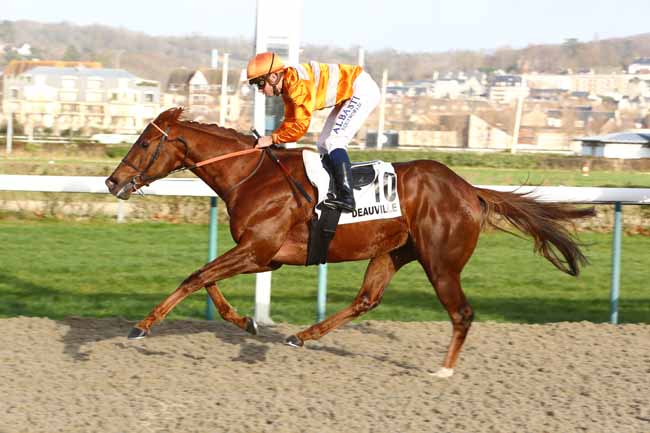 Photo d'arrivée de la course pmu PRIX LUTHIER à DEAUVILLE le Samedi 14 décembre 2019