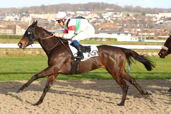 Photo d'arrivée de la course pmu PRIX DE LA BARBOTIERE à DEAUVILLE le Samedi 14 décembre 2019