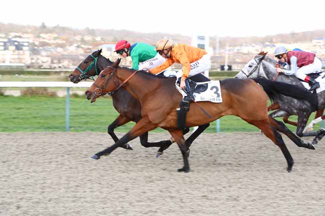 Photo d'arrivée de la course pmu PRIX DU HOGUENET à DEAUVILLE le Samedi 14 décembre 2019