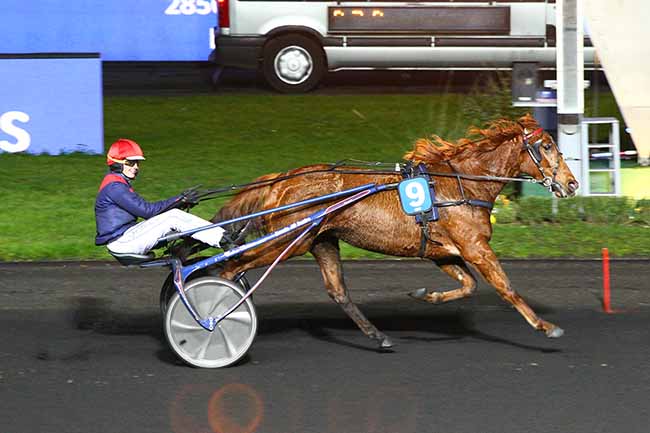 Photo d'arrivée de la course pmu PRIX DE CANCALE à PARIS-VINCENNES le Dimanche 15 décembre 2019